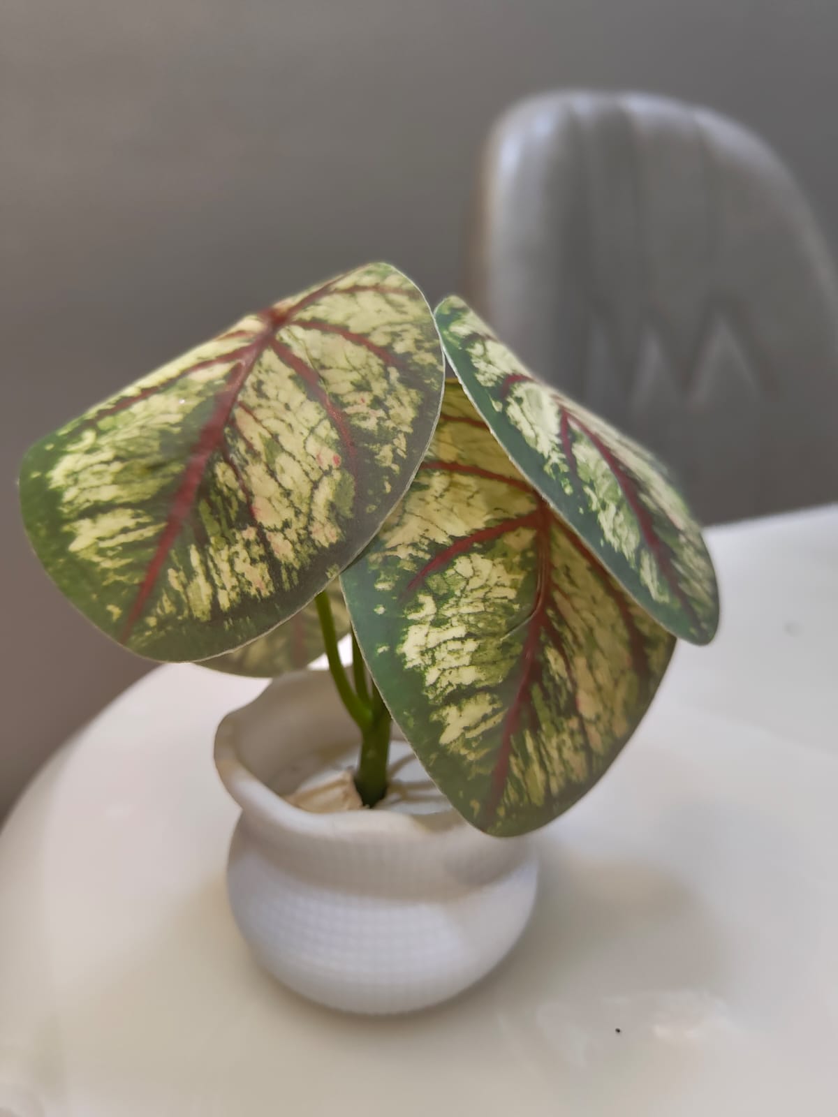 Handi pot with stand