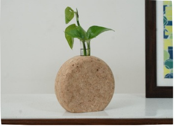Circle test tube Cork Planter
