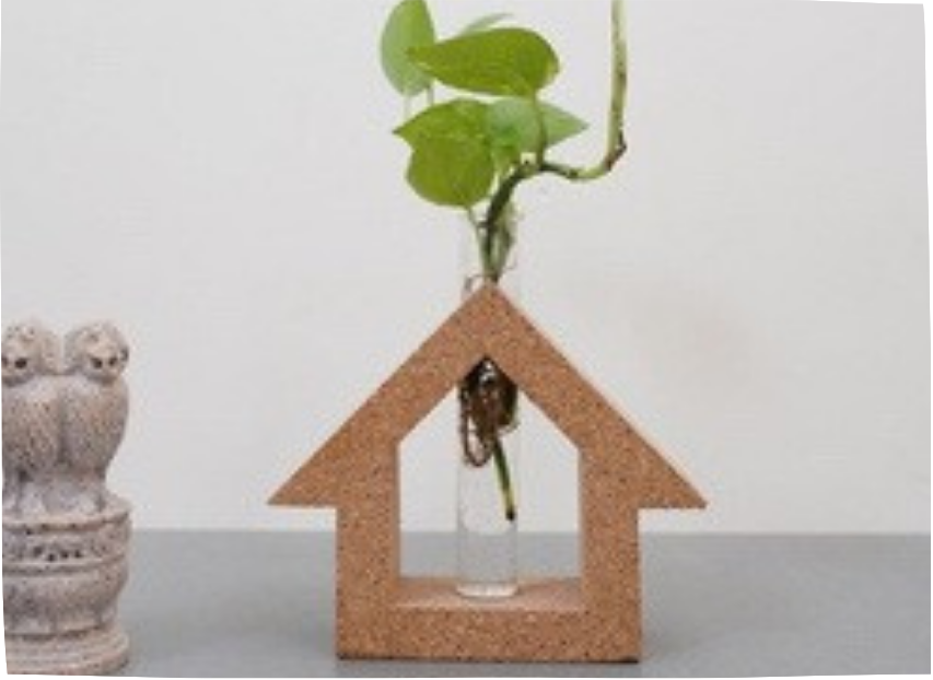 Hut shaped test tube Planter cork