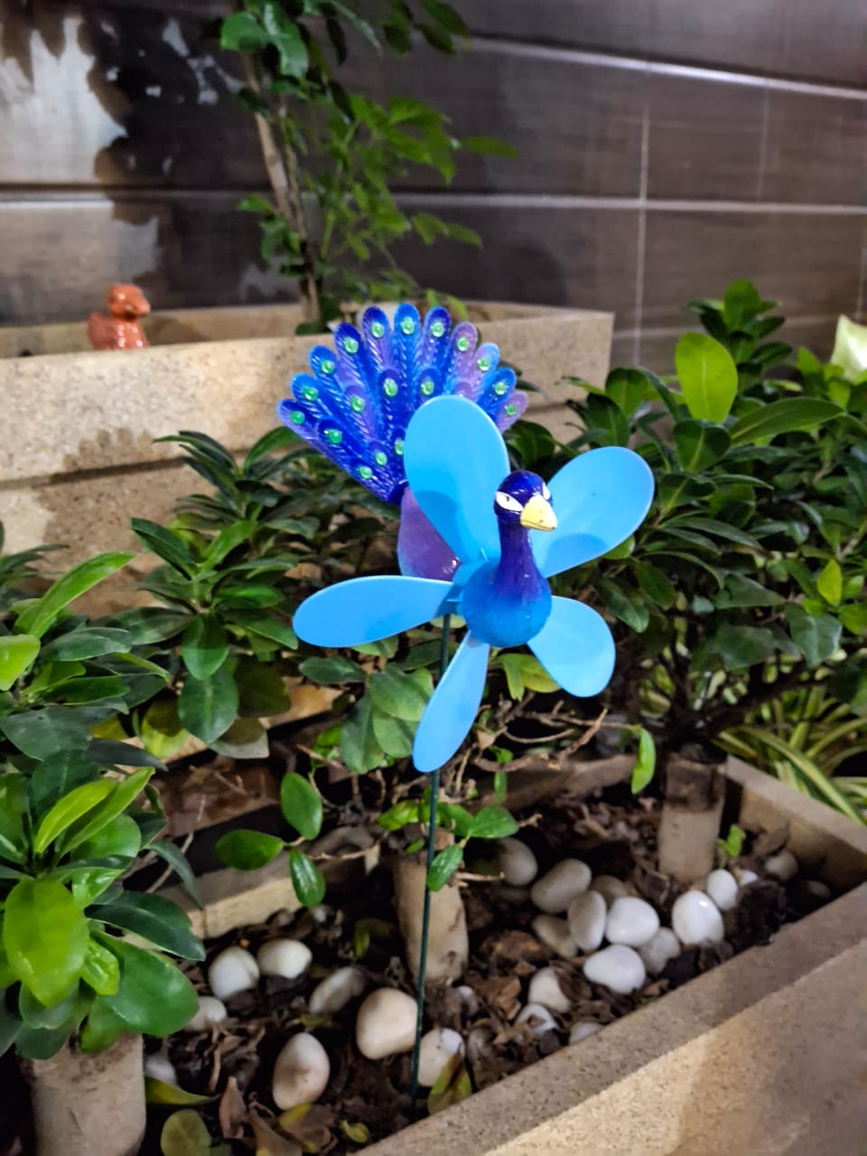 Peacock Garden stick