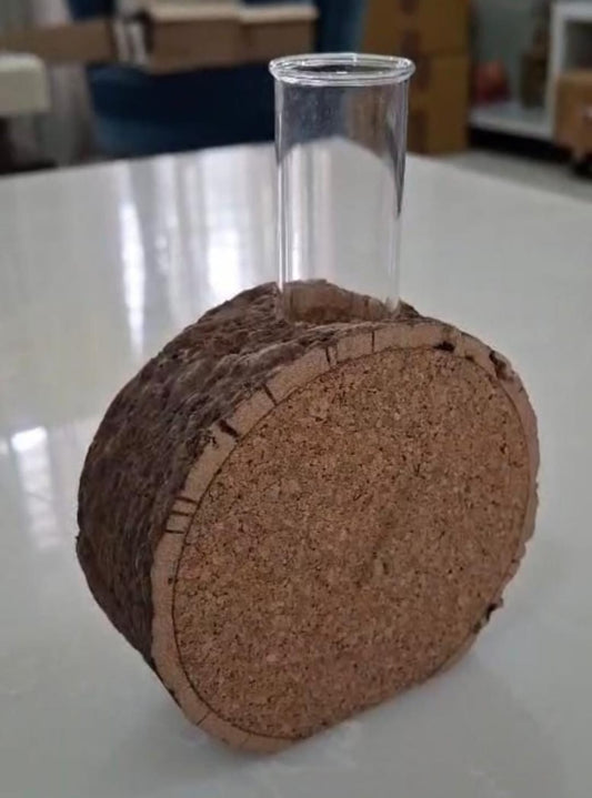 Circle test tube Cork Planter